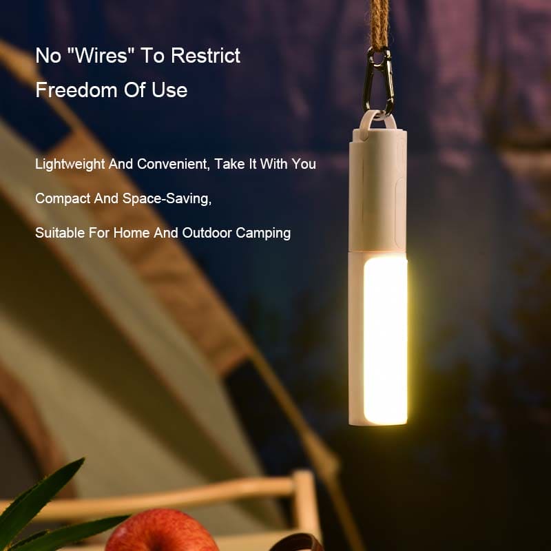 Tri-Light Intelligent Motion Sensor LED Lamp