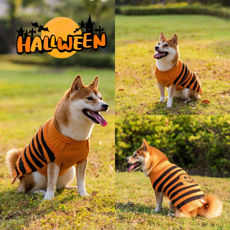 Pooch Pumpkin Patch Halloween Cosplay Sweaters for Dogs