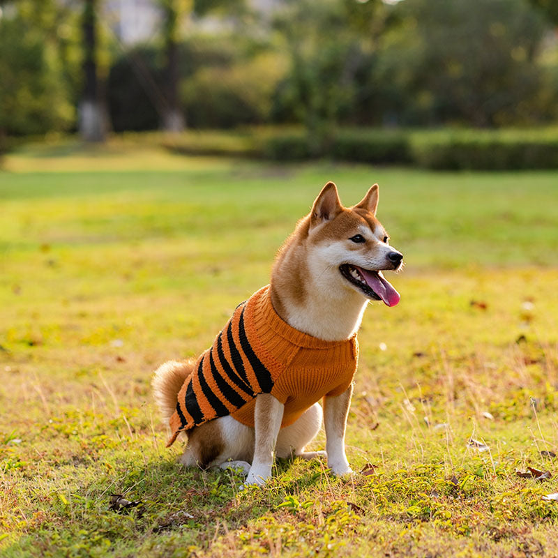 Pooch Pumpkin Patch Halloween Cosplay Sweaters for Dogs
