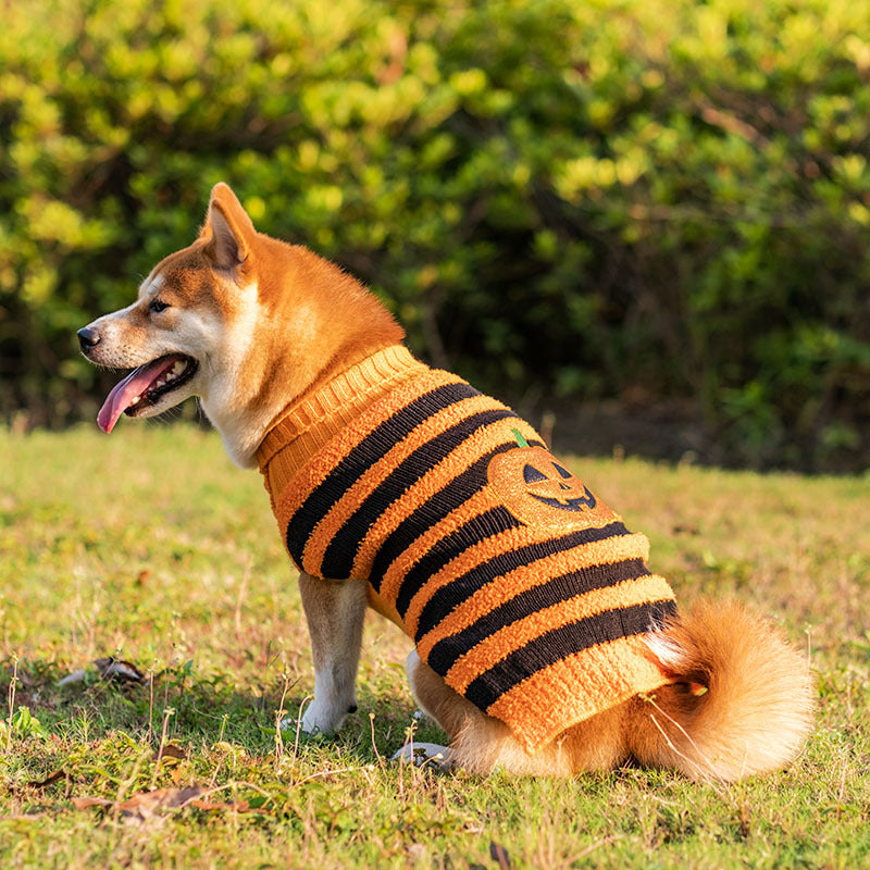 Pooch Pumpkin Patch Halloween Cosplay Sweaters for Dogs
