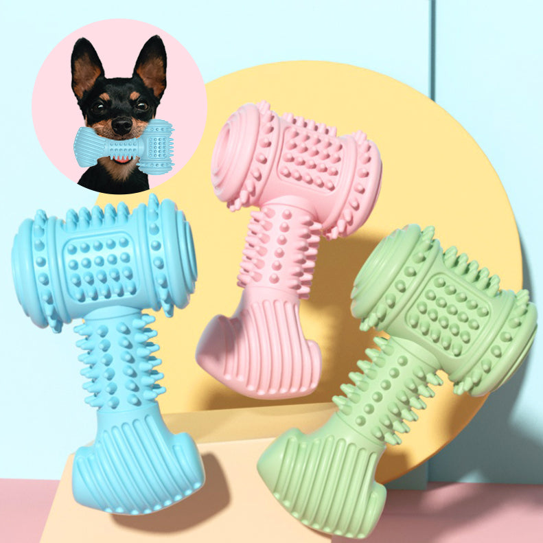 PetSafe CleanChew Durable TPR Dog Chew Toy for Teeth Cleaning and Teething