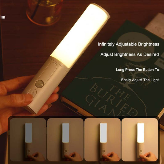 Tri-Light Intelligent Motion Sensor LED Lamp