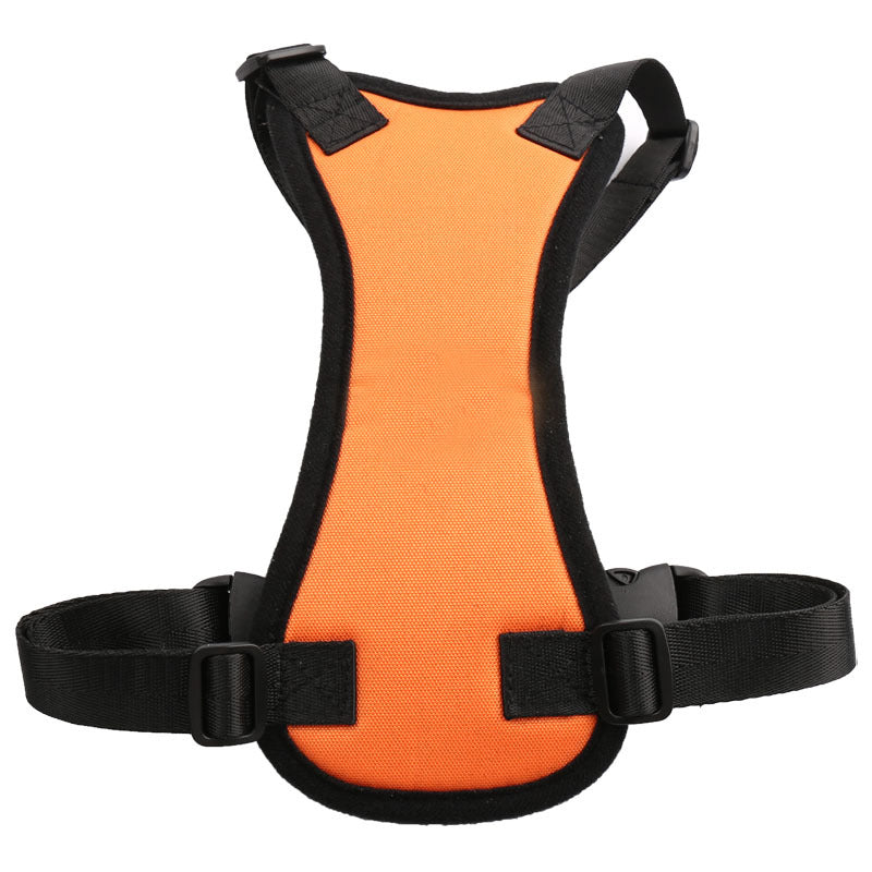 PetSafe RideAlong Harness and Seat Belt for Cars