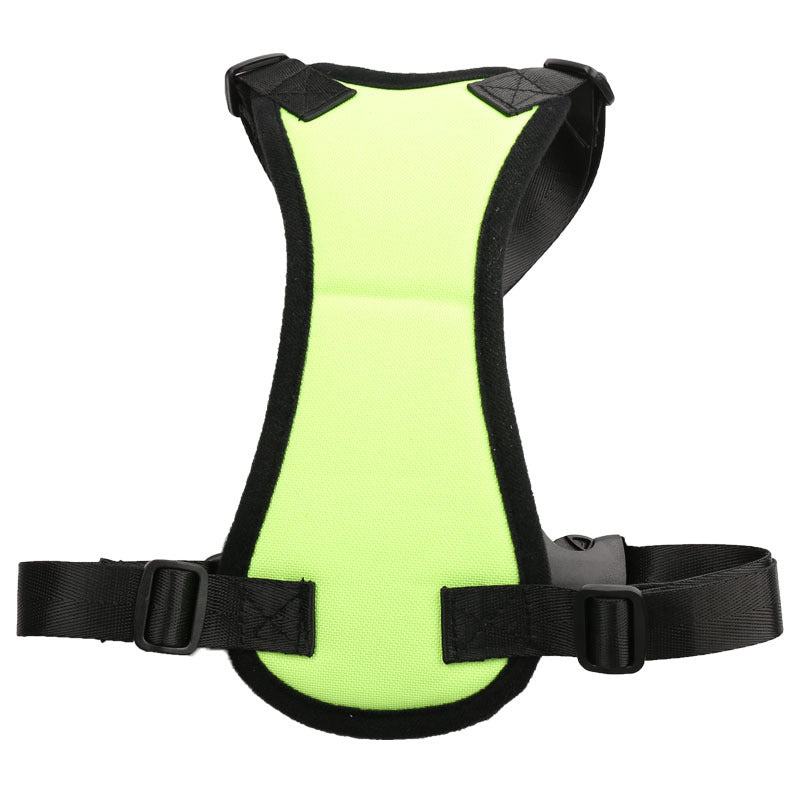 PetSafe RideAlong Harness and Seat Belt for Cars