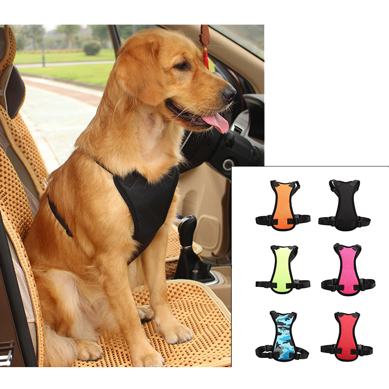 PetSafe RideAlong Harness and Seat Belt for Cars