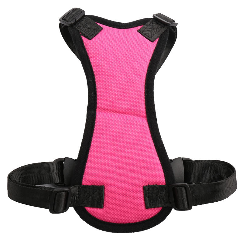 PetSafe RideAlong Harness and Seat Belt for Cars