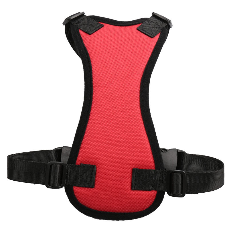 PetSafe RideAlong Harness and Seat Belt for Cars