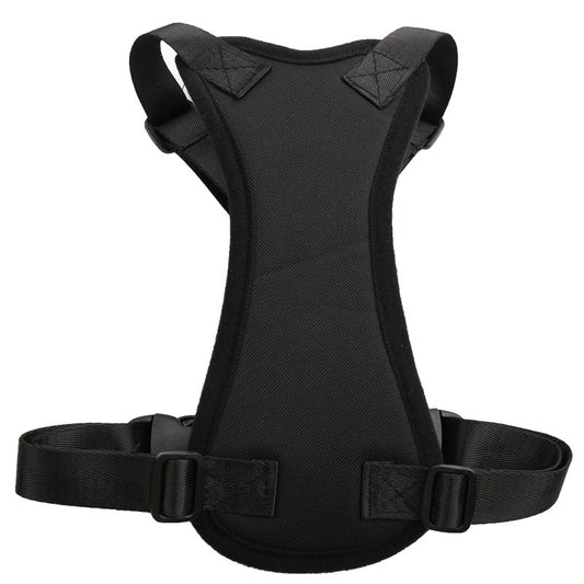 PetSafe RideAlong Harness and Seat Belt for Cars
